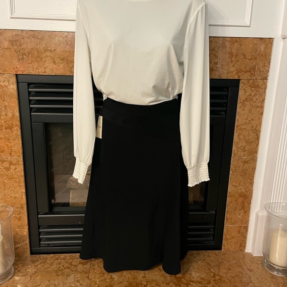 Jessica Aline Skirt with Asymmetrical Detailing NWT - Picture 2 of 9